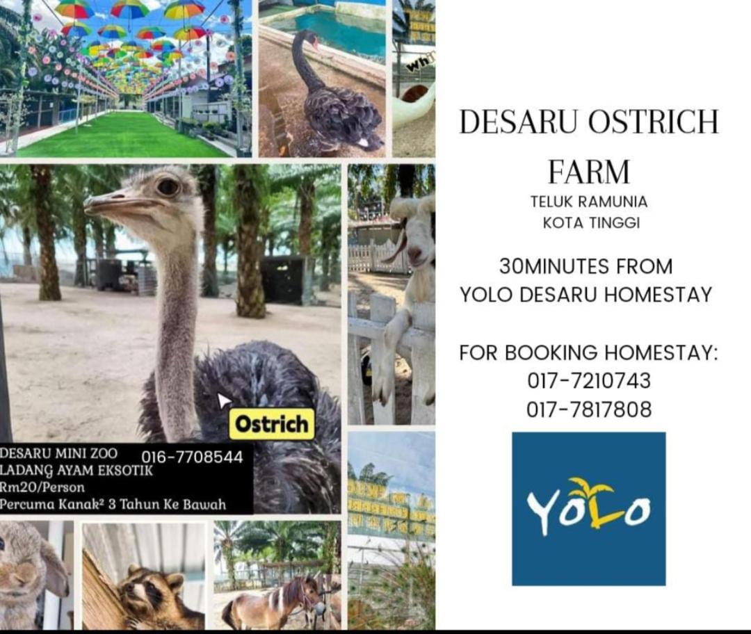 Desaru Homestay-Eva Villa Pool Homestay By Yolo Resort Bandar Penawar Εξωτερικό φωτογραφία